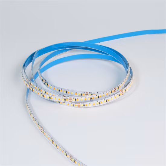 뜨거운 판매 12V 24V 자동 DMX 쓰기 주소 Ucs512h4l/Hi512es RGBW LED 스트립 CE, FCC, RoHS 인증