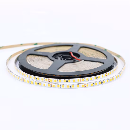 230V 110V 48V 24V 주소 지정 가능 LED 스트립 2835 Ws2811 Ws2812b Ws2813 방수 유연한 주소 지정 가능 LED 스트립